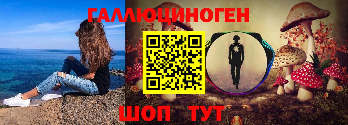 Псилоцибиновые грибы мицелий Красногорск