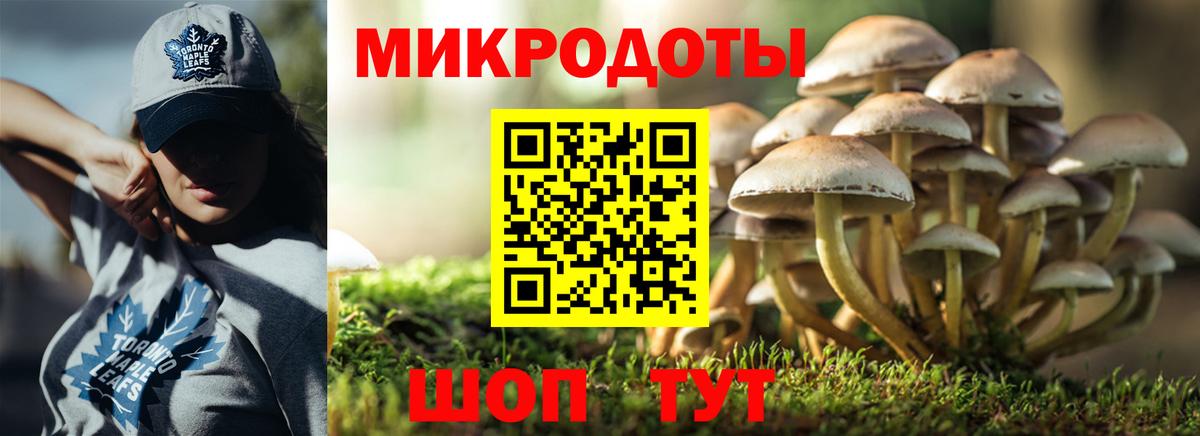 Красногорск  Псилоцибиновые грибы Psilocybe  Вход с VPN 